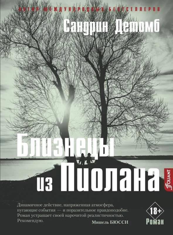 Обложка книги «Близнецы из Пиолана»
