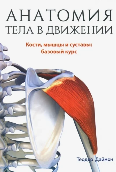 Обложка книги «Анатомия тела в движении. Кости, мышцы и суставы: базовый курс»