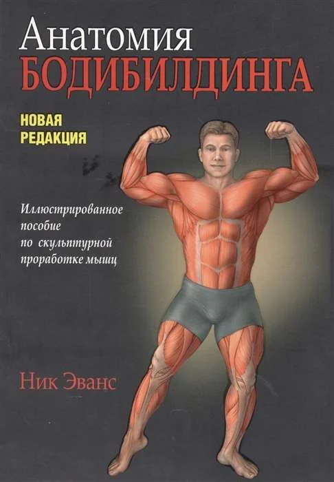 Обложка книги «Анатомия бодибилдинга. Иллюстрированное пособие по скульптурной проработке мышц. Новая редакция»
