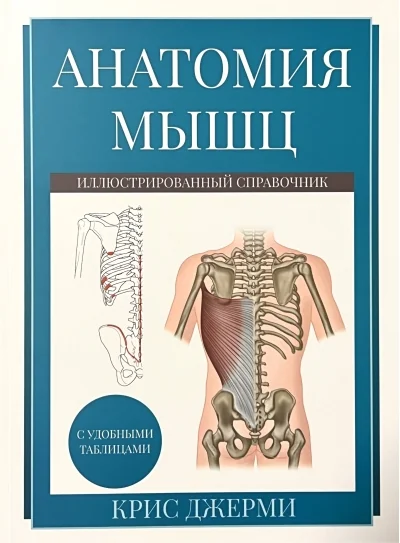 Обложка книги «Анатомия мышц. Иллюстрированный справочник»