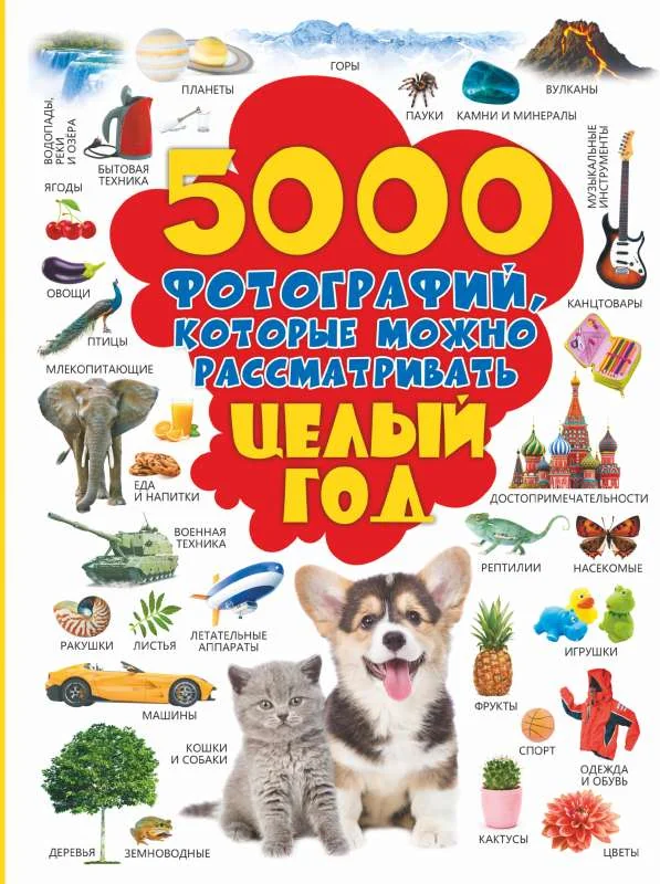 Обложка книги «5000 фотографий, которые можно рассматривать целый год : Пять тысяч фотографий, которые можно рассматривать целый год»