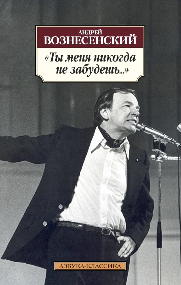 Обложка книги «Ты меня никогда не забудешь. . »