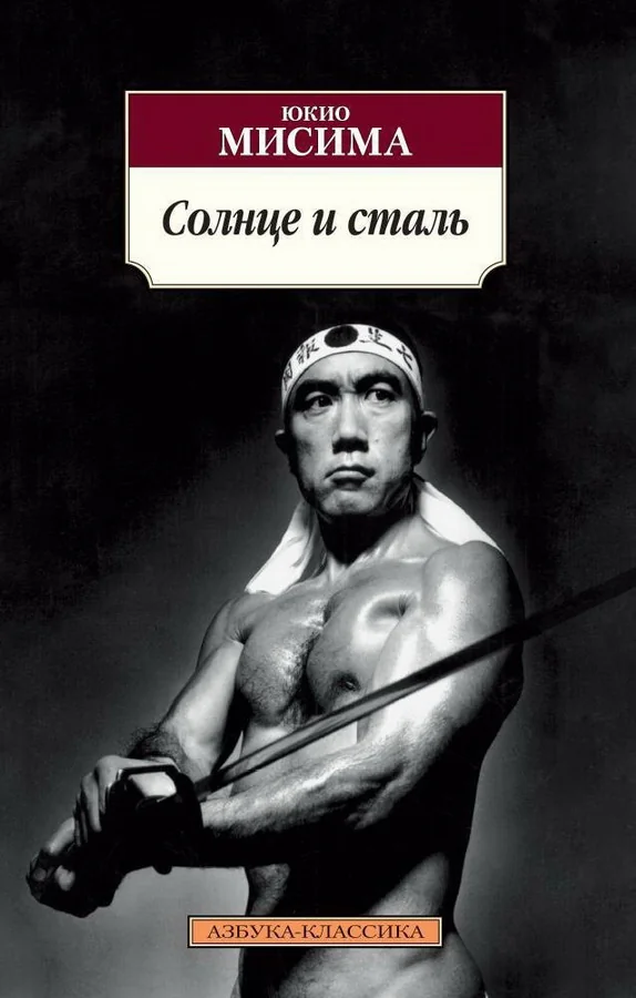 Обложка книги «Солнце и сталь»