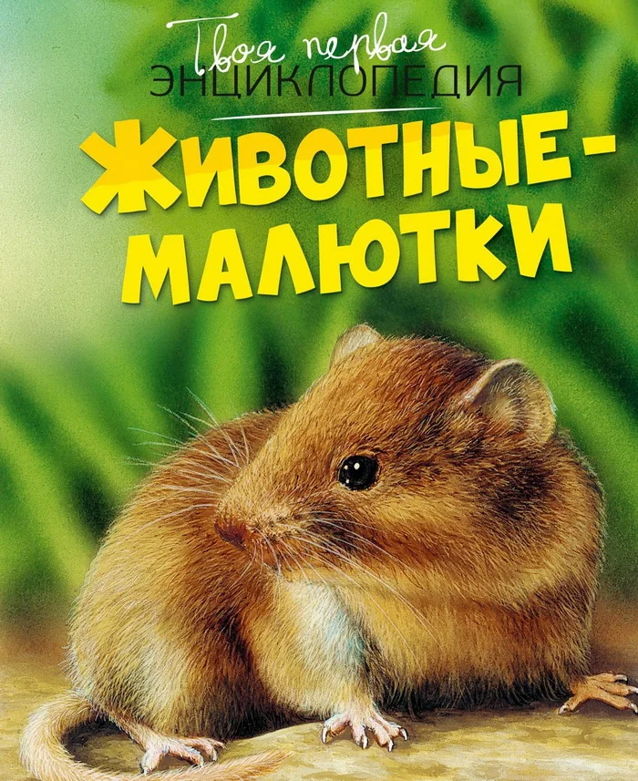 Обложка книги «Животные-малютки»