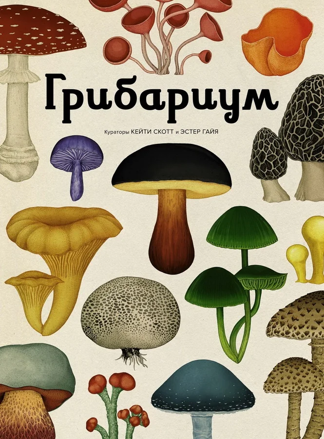 Обложка книги «Грибариум»