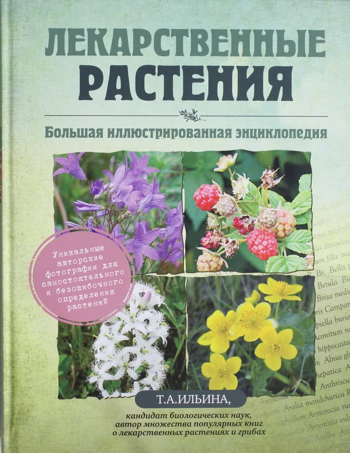 Обложка книги «Лекарственные растения. Большая иллюстрированная энциклопедия»