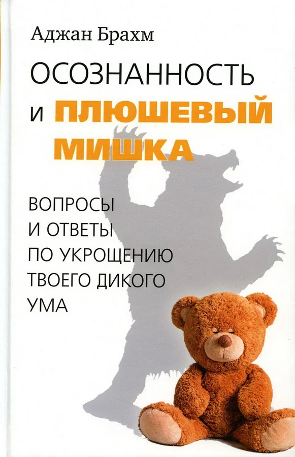 Обложка книги «Осознанность и плюшевый мишка. Вопросы и ответы по укрощению твоего дикого ума»