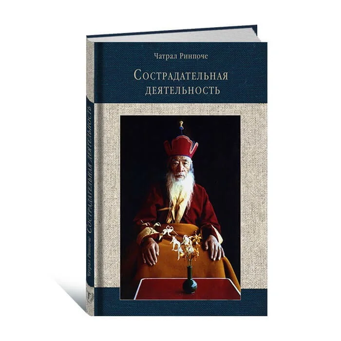 Обложка книги «Сострадательная деятельность»