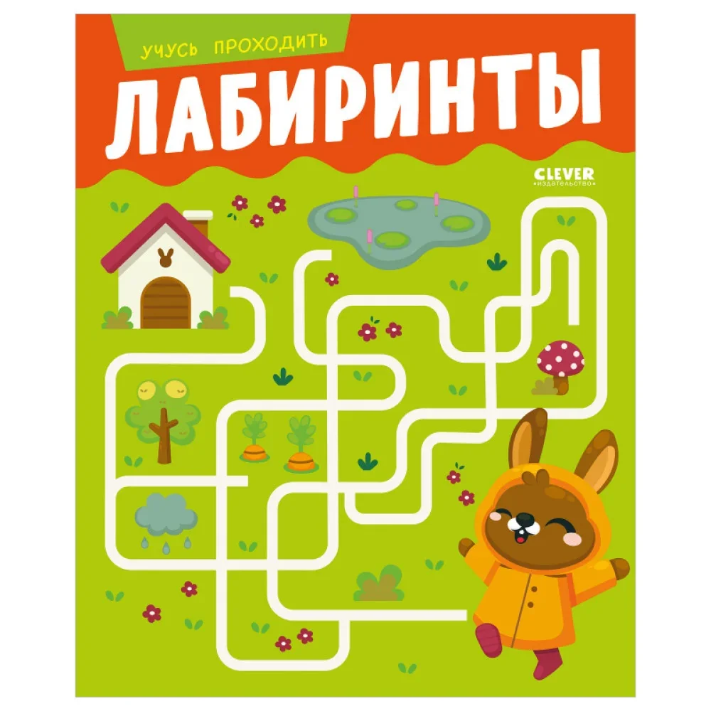 Обложка книги «Развивайся и играй! Учусь проходить лабиринты»