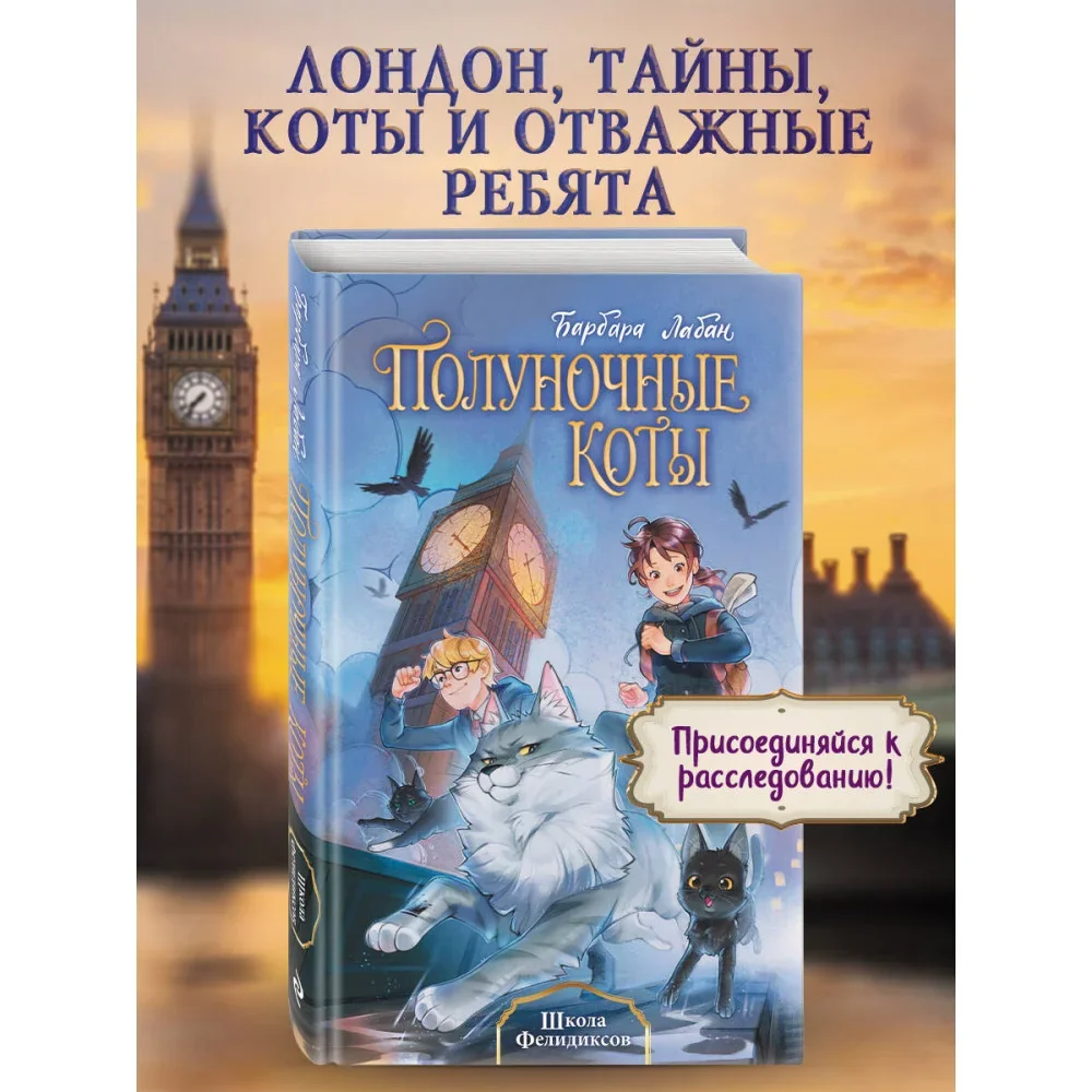 Обложка книги «Школа Фелидикса (#1)»