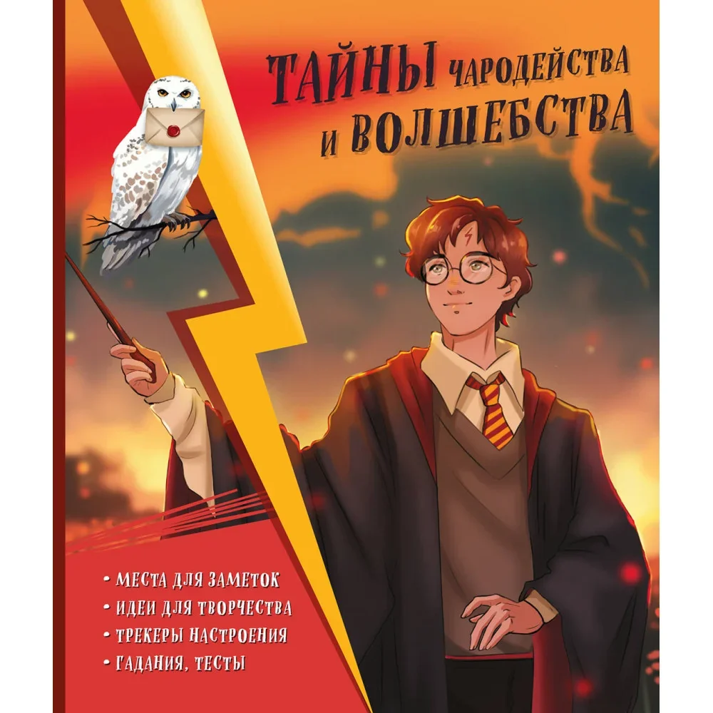 Обложка книги «Тайны чародейства и волшебства. Книга творчества и вдохновения (Гарри)»