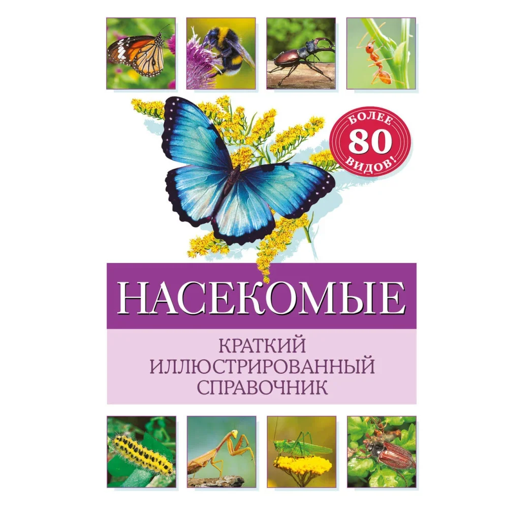 Обложка книги «Насекомые. Краткий иллюстрированный справочник»