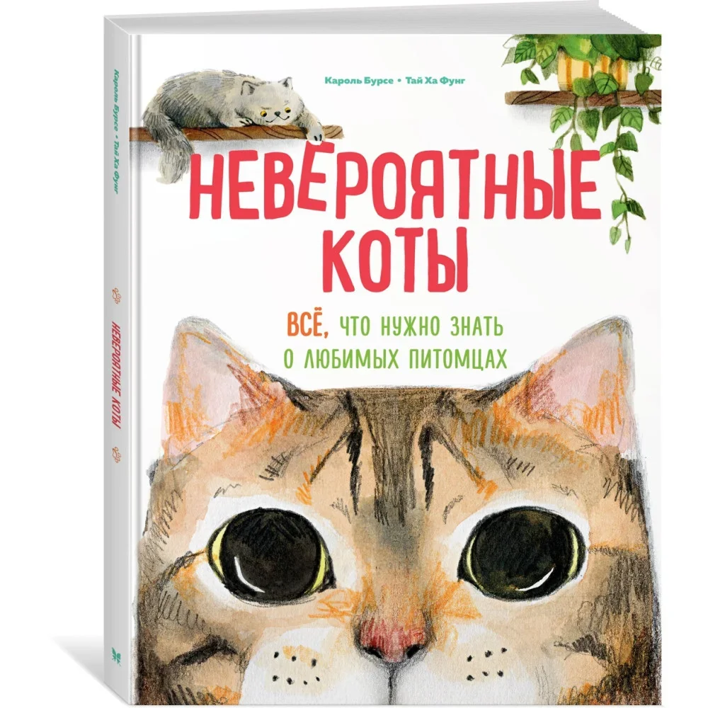 Обложка книги «Невероятные коты. Всё, что нужно знать о любимых питомцах»