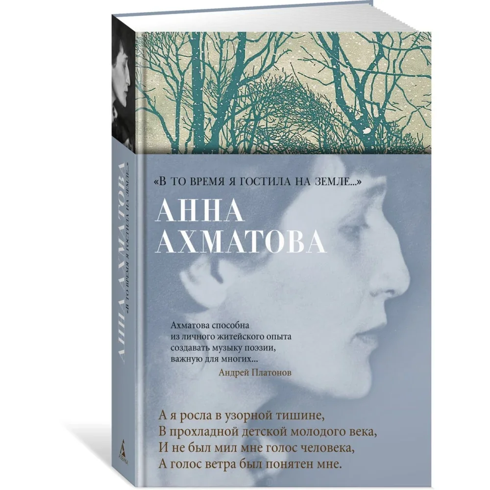 Обложка книги «В то время я гостила на земле..."»
