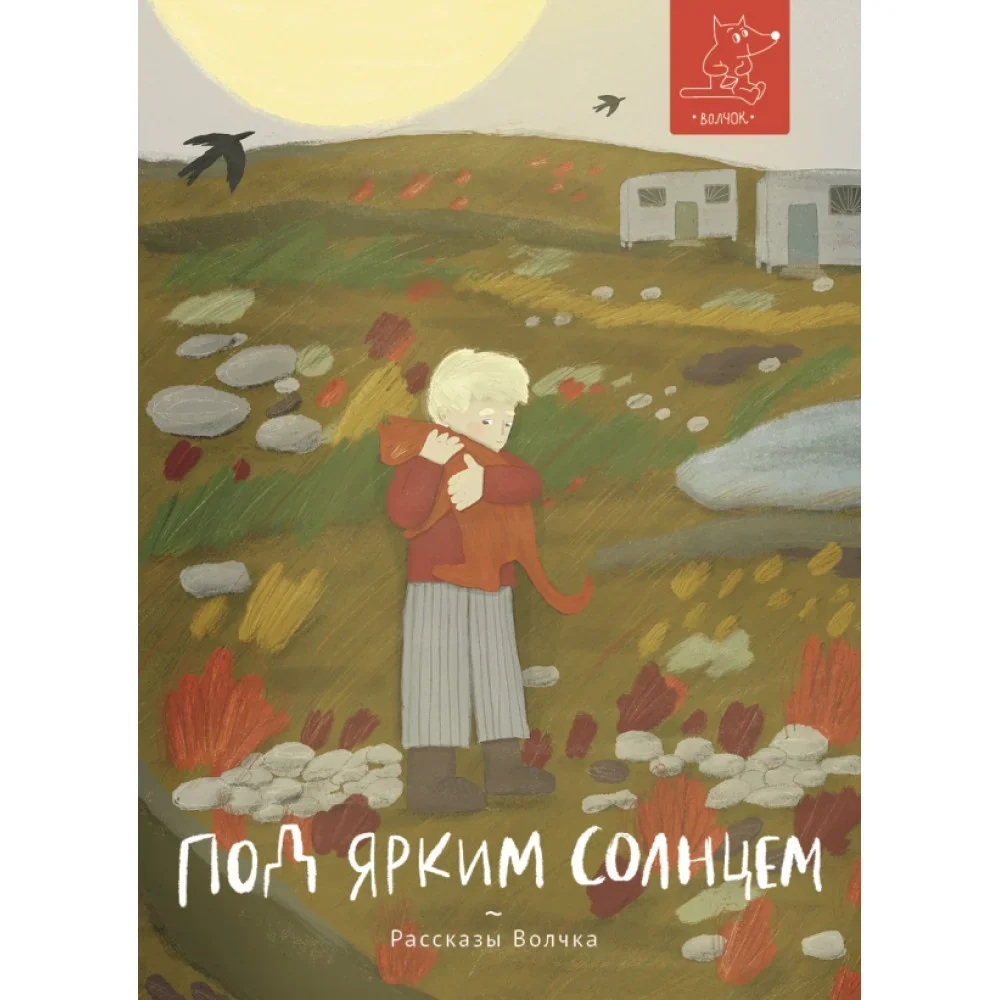 Обложка книги «Под ярким солнцем»