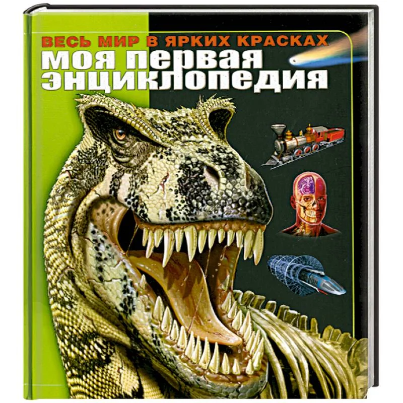 Обложка книги «Моя первая энциклопедия. Весь мир в ярких красках»