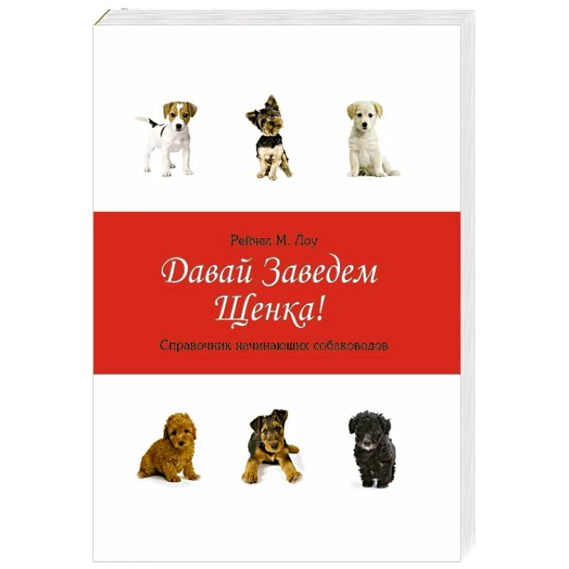 Обложка книги «Давай заведем щенка!»