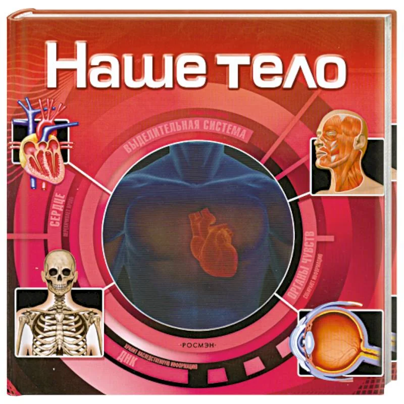 Обложка книги «Наше тело»