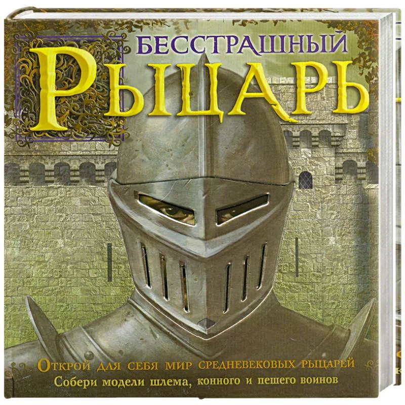 Обложка книги «Бесстрашный рыцарь»