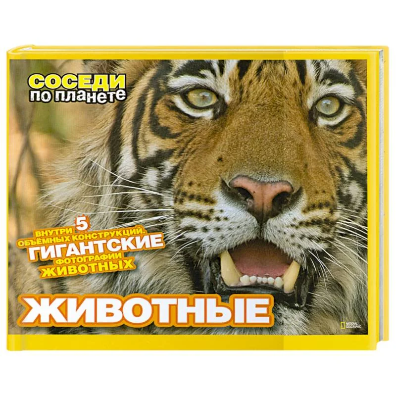 Обложка книги «Животные. Внутри 5 объемных конструкций. Гигантские фотографии животных»