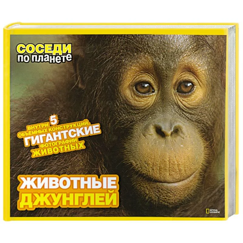 Обложка книги «Животные джунглей»