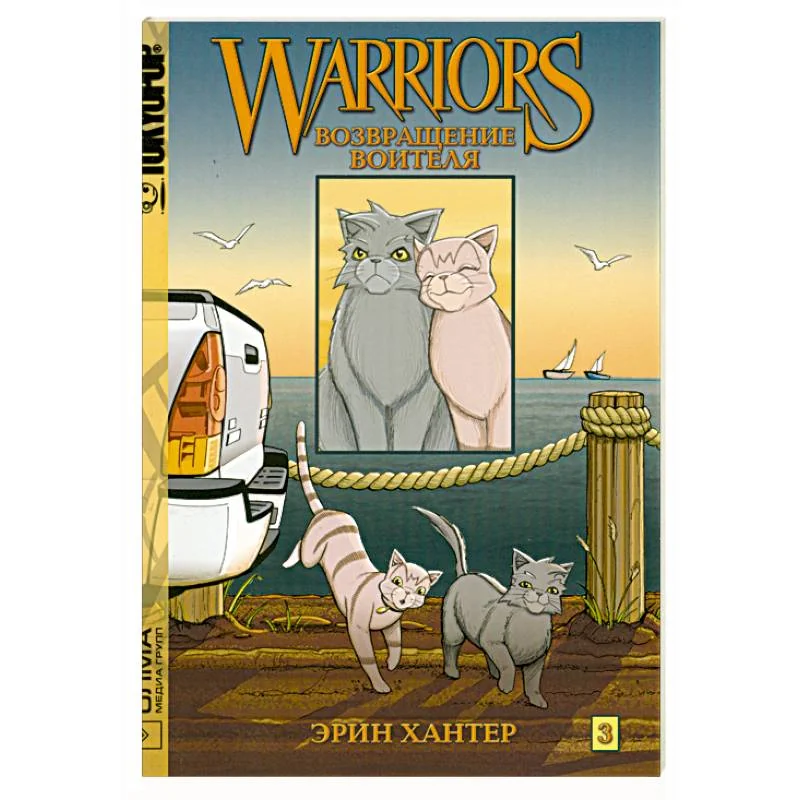 Обложка книги «Возвращение воителя кн 3»