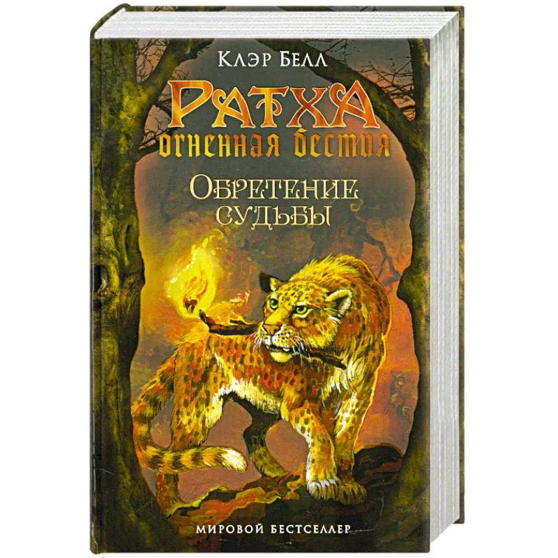 Обложка книги «Обретение судьбы»
