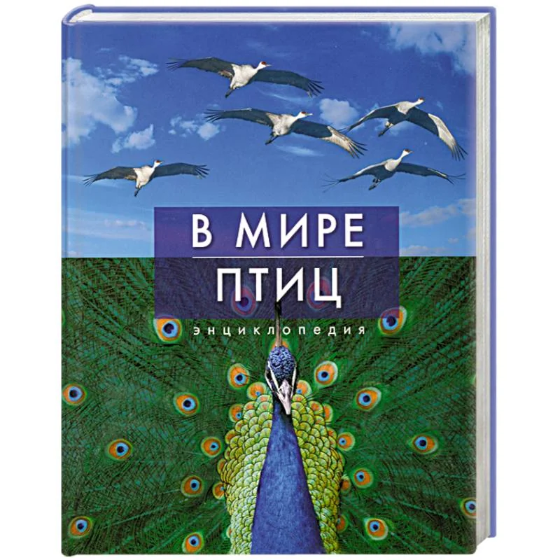 Обложка книги «В мире птиц»