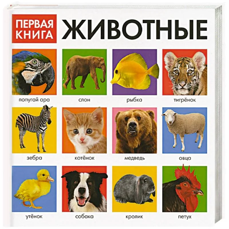 Обложка книги «Первая книга. Животные»