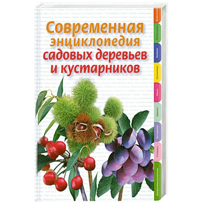 Обложка книги «Современная энциклопедия садовых деревьев и кустарников»