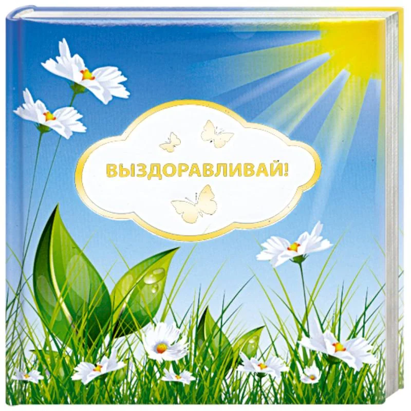 Обложка книги «Выздоравливай!»