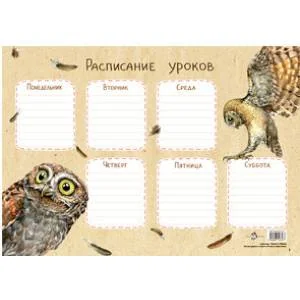 Обложка книги «Расписание уроков.Сычик-эльф»