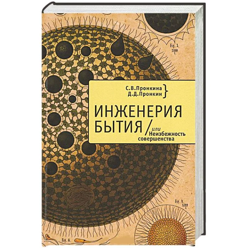 Обложка книги «Инженерия бытия, или Неизбежность совершенства»