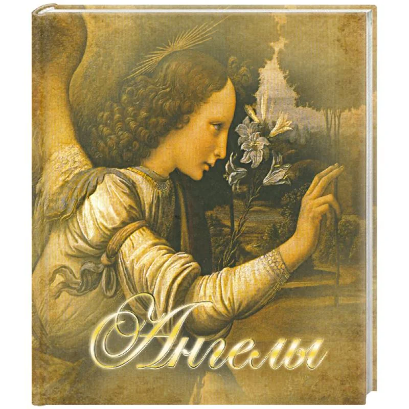 Обложка книги «Ангелы»