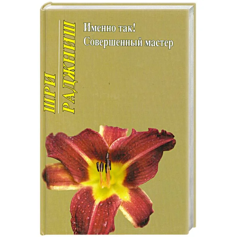Обложка книги «Именно так! Совершенный мастер»