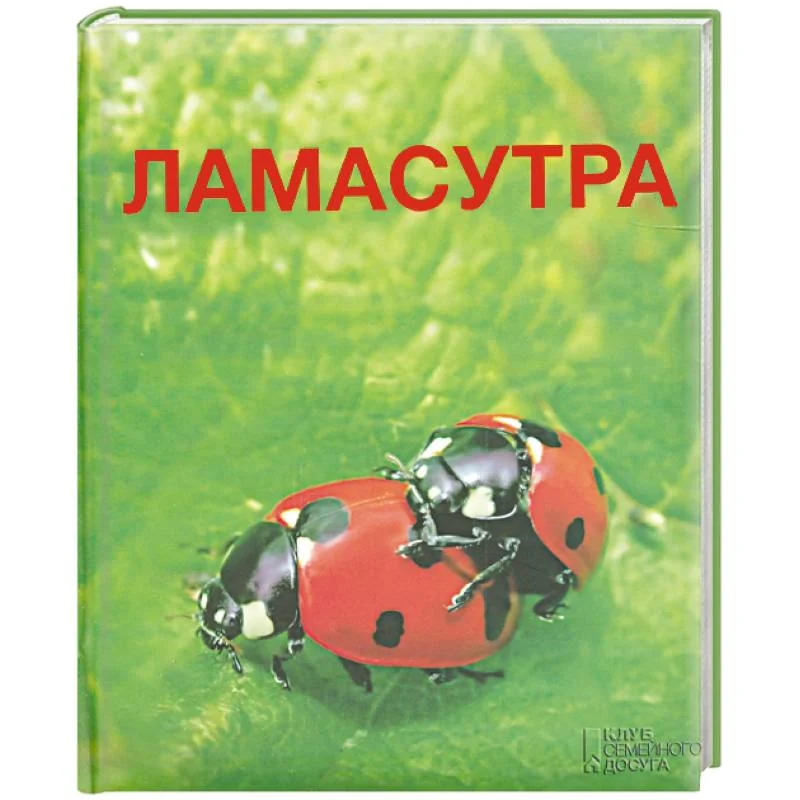 Обложка книги «Ламасутра»