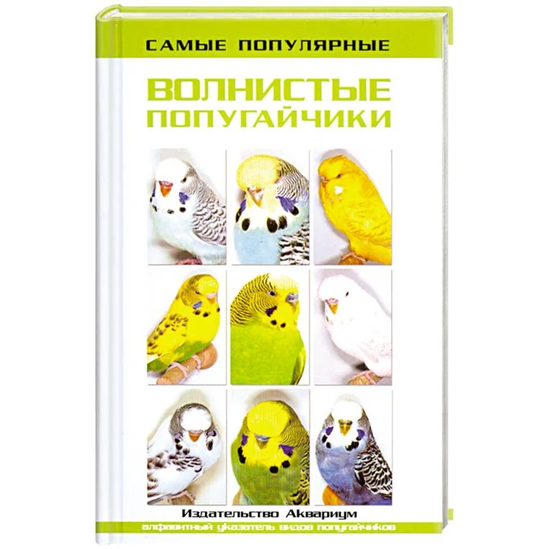 Обложка книги «Самые популярные волнистые попугайчики»