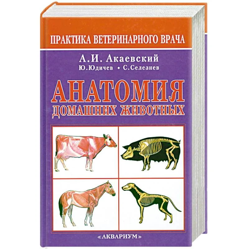 Обложка книги «Анатомия домашних животных»