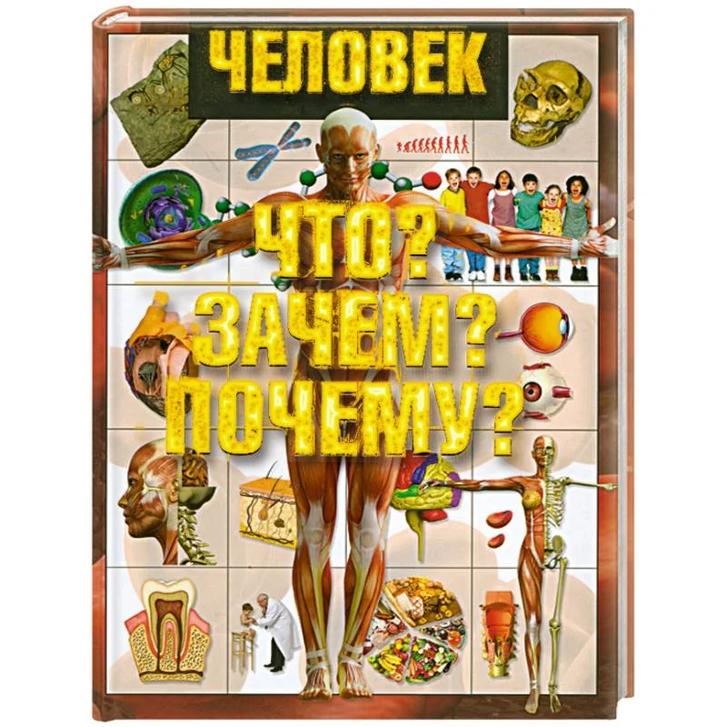 Обложка книги «Человек. Что? Зачем? Почему?»