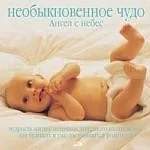 Обложка книги «Необыкновенное чудо. Ангел с небес. Мудрость жизни: источник душевного вдохновения для будущих и уже»