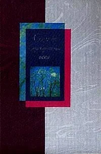 Обложка книги «Сонет Серебряного века т.1 и т.2»