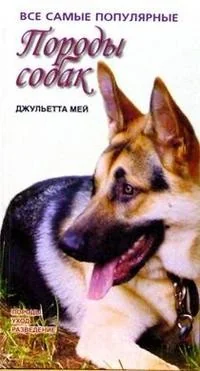Обложка книги «Все самые популярные породы собак»
