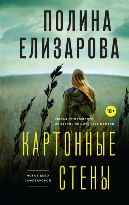 Обложка книги «Картонные стены»
