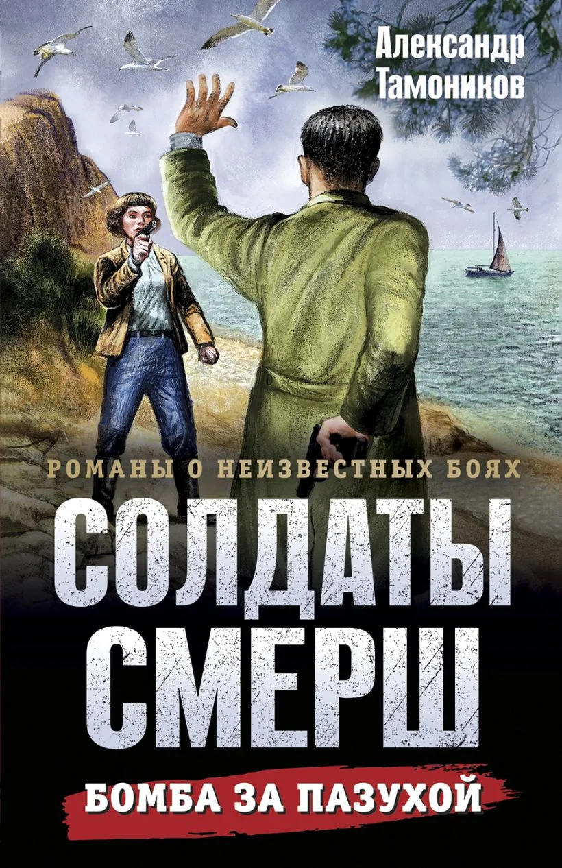 Обложка книги «Бомба за пазухой»