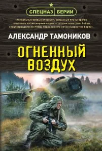Обложка книги «Огненный воздух»