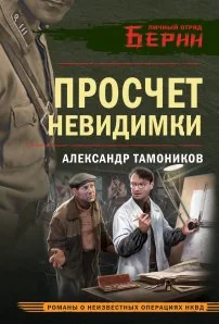Обложка книги «Просчет невидимки»