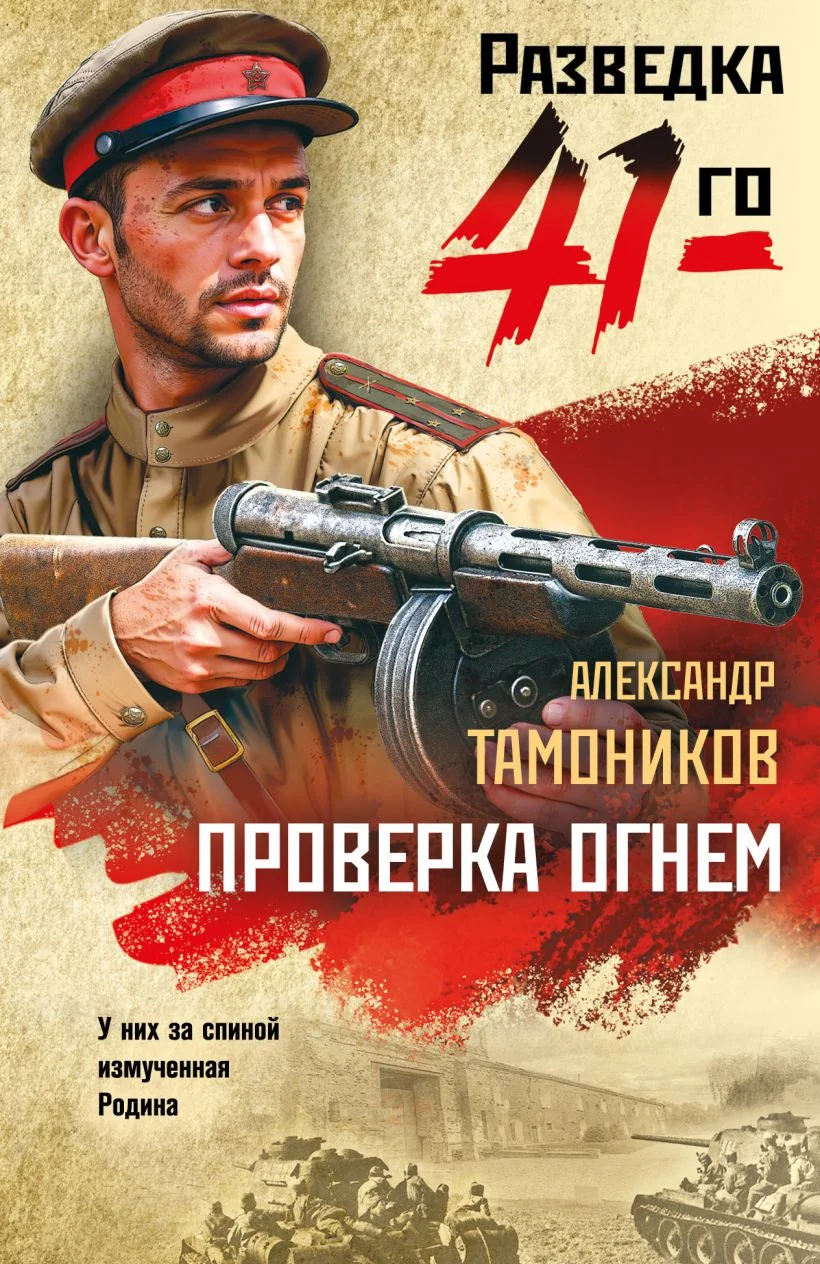 Обложка книги «Проверка огнем»