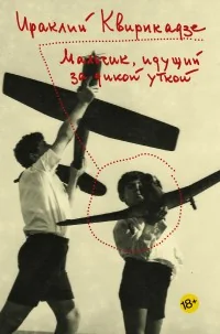 Обложка книги «Мальчик, идущий за дикой уткой»