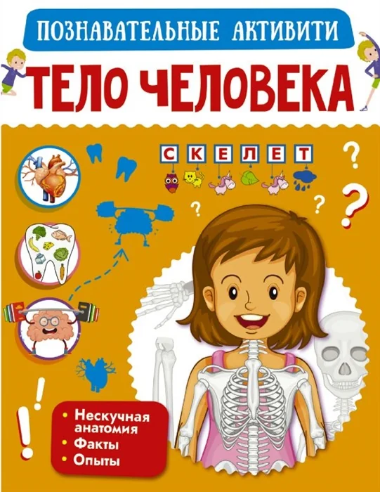 Обложка книги «Тело человека»
