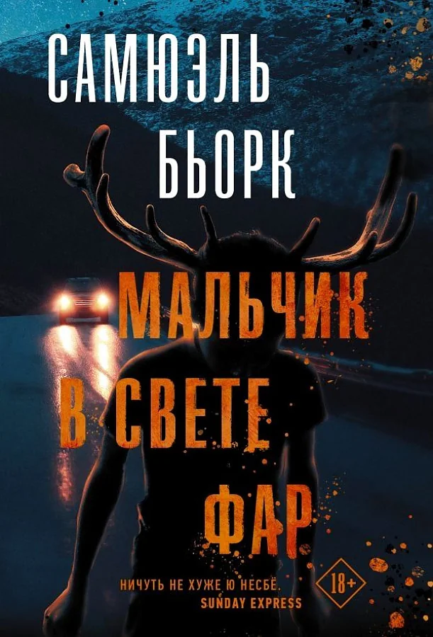 Обложка книги «Мальчик в свете фар»